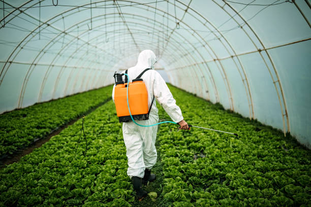 Best Affordable Pest Control Services  in Heceta Beach, OR