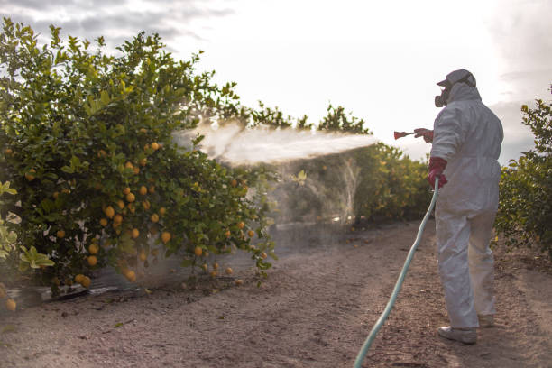 Best Cockroach Control Services  in Heceta Beach, OR