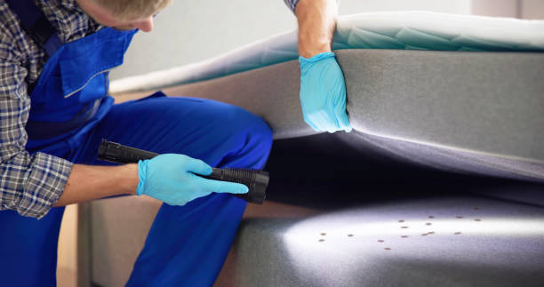 Best Wasp Removal Services  in Heceta Beach, OR