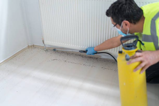 Wasp Removal Services in Heceta Beach, OR